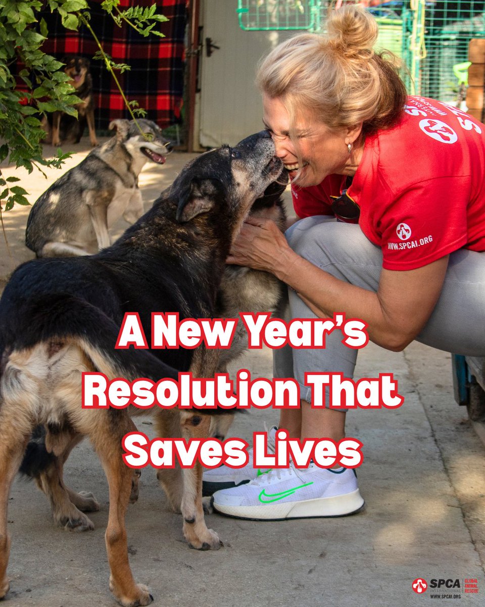 SPCAINT's tweet photo. This year, make a difference for animals in need. Join our monthly donor community and be a hero for dogs, cats, and more! Your gift provides the care and love they deserve: https://t.co/J8q5bCZCXR.
#SPCAI #AnimalRescue #NewYearsResolution #SaveAnimals #AnimalWelfare https://t.co/CunseNIRyw