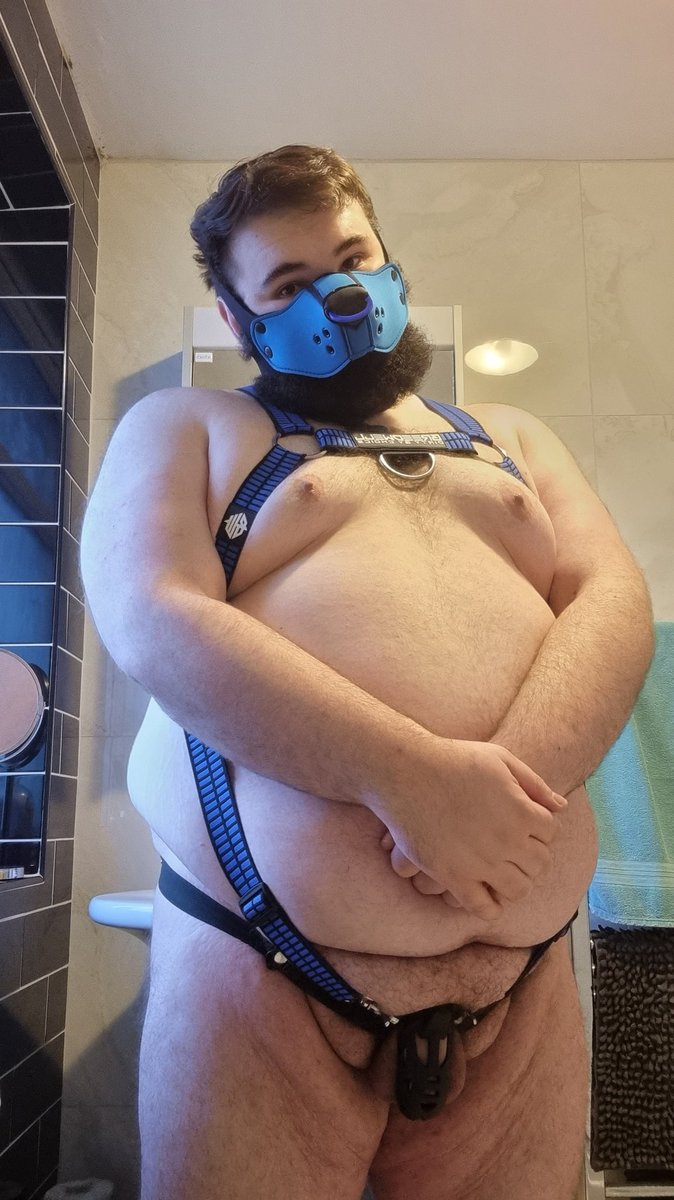 pupcryff's tweet photo. Wrufffff thank you everyone for helping me hit 13k followers. You got this big ol puppy a bit shy. Whos gonna come and give me some bone as a reward  🐶🥵🍆
#gaybear #gainer #gaypup https://t.co/9C9ZDCyeW0