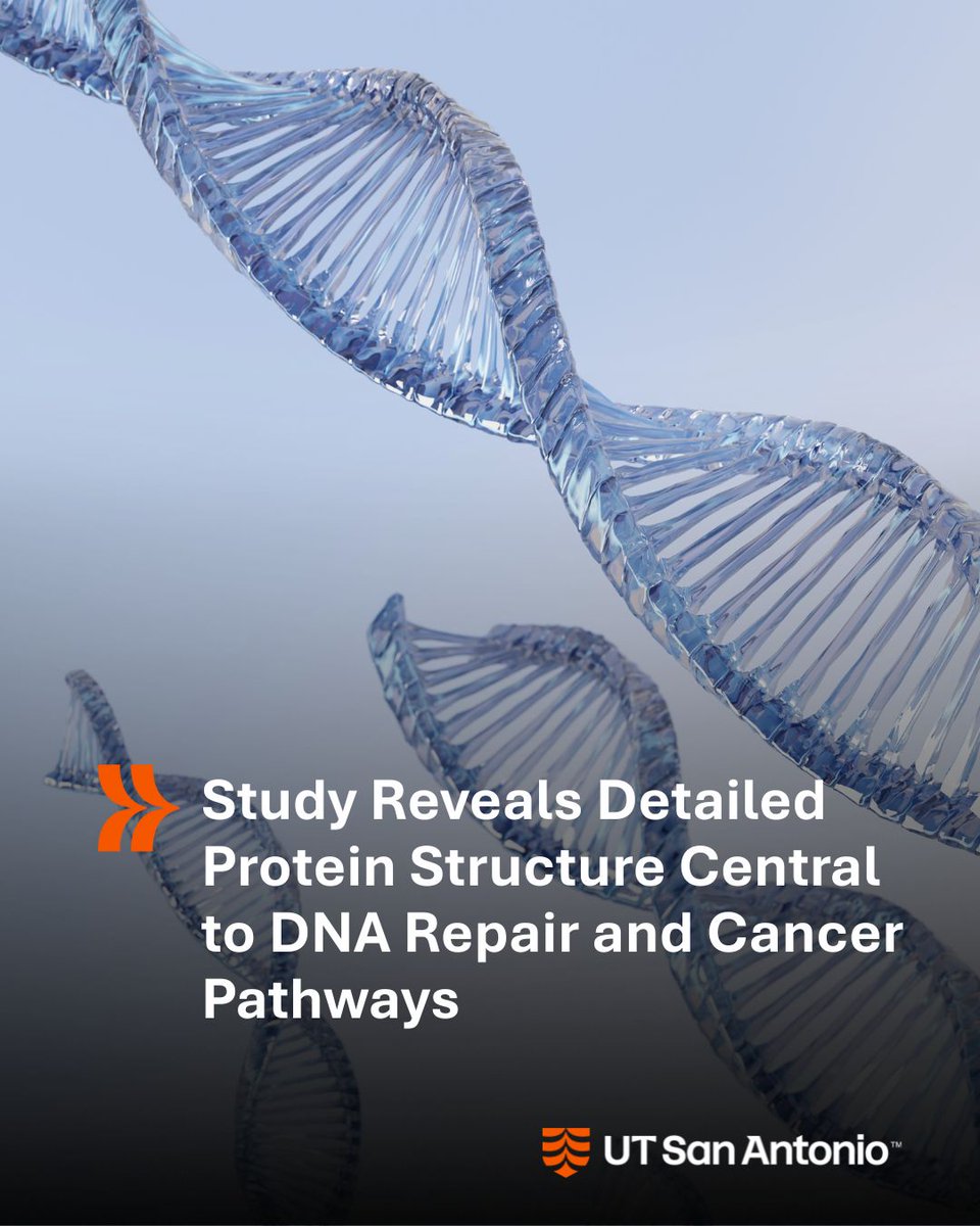 UT Health San Antonio Research tweet media
