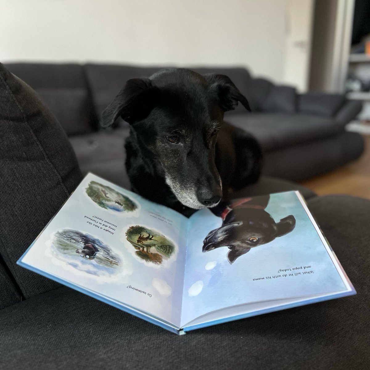 Moonbeam Children’s Book Awards tweet media