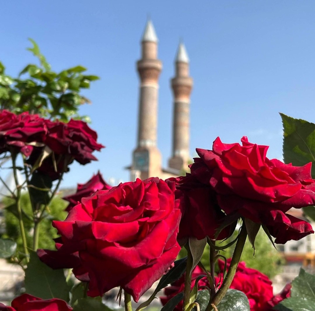 <a href="/NusretPayr70523/">@NusretAkpak2024</a> <a href="/HabibeMert4646/">Habibe Mert</a> <a href="/ak_kepez/">KadınKepez</a> <a href="/___ASKI_D_ERun_/">❤️🤍𝓐𝓢𝓚-ɪ 𝓓𝓔𝓡𝓤𝓝</a> <a href="/karahayrettin72/">HAYRETTİN KARA</a> <a href="/uziTURGttinta/">...CİMİCURİ...</a> <a href="/mahallesi_p/">PINARBAŞI MAHALLESİ RESMİ HESABI</a> <a href="/_sahra_mine/">MİNE KONAN ❤️35</a> <a href="/ayseegunay27/">Ayşe Günay</a> <a href="/YaseminTepekaya/">Yasemin Tepekaya</a> <a href="/songulsimsek2/">Songül Şimşek 🇹🇷🟢</a> <a href="/hayriyeberberl1/">hayriye berberler</a> <a href="/aylin_sultan07/">🇹🇷Aylin Sultan🇹🇷</a> <a href="/hvv3896/">Havva Nefes Durmuş 💍Evli</a> <a href="/Bedriyeyazar/">Bedriye Arık Çambel</a> <a href="/ayezahideerol/">Ayşe Zahide Erol. Danışmanlık hizmetleri</a> <a href="/emirova1_asude/">Asude Emirova</a> <a href="/DonduAnar/">d.hatun</a> <a href="/sarpkayanecmiye/">necmiye çakıcı sarpkaya</a> <a href="/Msy27Barak/">Mehmet Seydi YILMAZ</a> <a href="/ceyhunsalamov70/">ceyhunsalamov70</a> <a href="/Ruhani_25/">Dadaş Ruhani</a> <a href="/Aise40Kurt/">ayşe kurt</a> <a href="/Kuran_610/">Mehmet ÖZCAN</a> <a href="/SKAfridi_1/">Sajid Khan Afridi ساجد خان آفریدی</a> <a href="/Aisezisan/">Ayşe Hatun</a> <a href="/Vataneski38108/">Seher Eski...🌹</a> <a href="/_Dava__Adami/">Dava Adamı</a> <a href="/seleksultan35/">🇹🇷 Sultan SELEK 🇹🇷</a> <a href="/esfasultannn/">ESFA SULTANNN</a> <a href="/AKSulta11910320/">AK Sultan</a> <a href="/Girginlerrr/">Mustafa Girginler</a> <a href="/glege18/">Gül-Nihal كل نهال (Vatangülü)</a> <a href="/GuzelerMunir/">Münir Güzeler</a> <a href="/Fatma89820785/">özer, fatma</a> <a href="/AylaKoklu/">Ayla Köklü🇹🇷</a> <a href="/Mukadderpekolu1/">...🌿 Mukadder İpekoğlu🌹</a> <a href="/aysar3838/">Zeynep 🇹🇷͜͜͡͡✯</a> Hayırlı cumalarimiz olsun 🌸🤲🥰