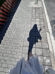 Ivy8913164755's tweet photo. Quiet steps, noisy thoughts, steady progress forward 🚶‍♀️✨ https://t.co/7elcWGJrUi