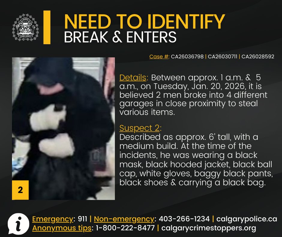 🔎 NEED TO IDENTIFY 🔍

After exhausting all investigative avenues to identify &amp; locate 2 suspects, police are asking the public for help to identify 2 men who are believed to be responsible for multiple garage break-ins last month in the northeast community of Whitehorn.

📍