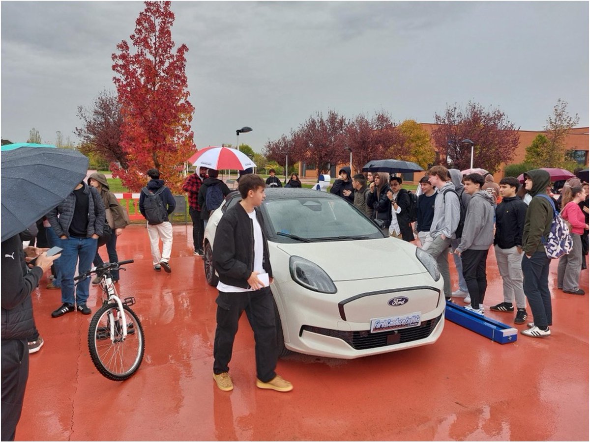 LST Companies tweet media