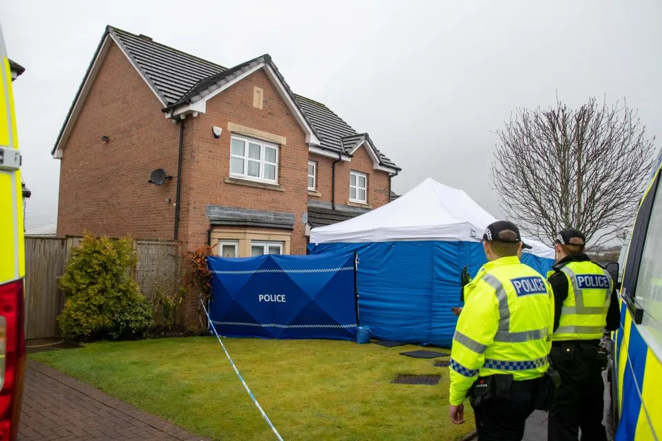 One question I see no one asking over this whole Mandelson affair...

WHERE IS THE BLUE FUCKING TENTS?

This is the biggest political scandal this century for crying out loud 🤣🤣🤣🤣