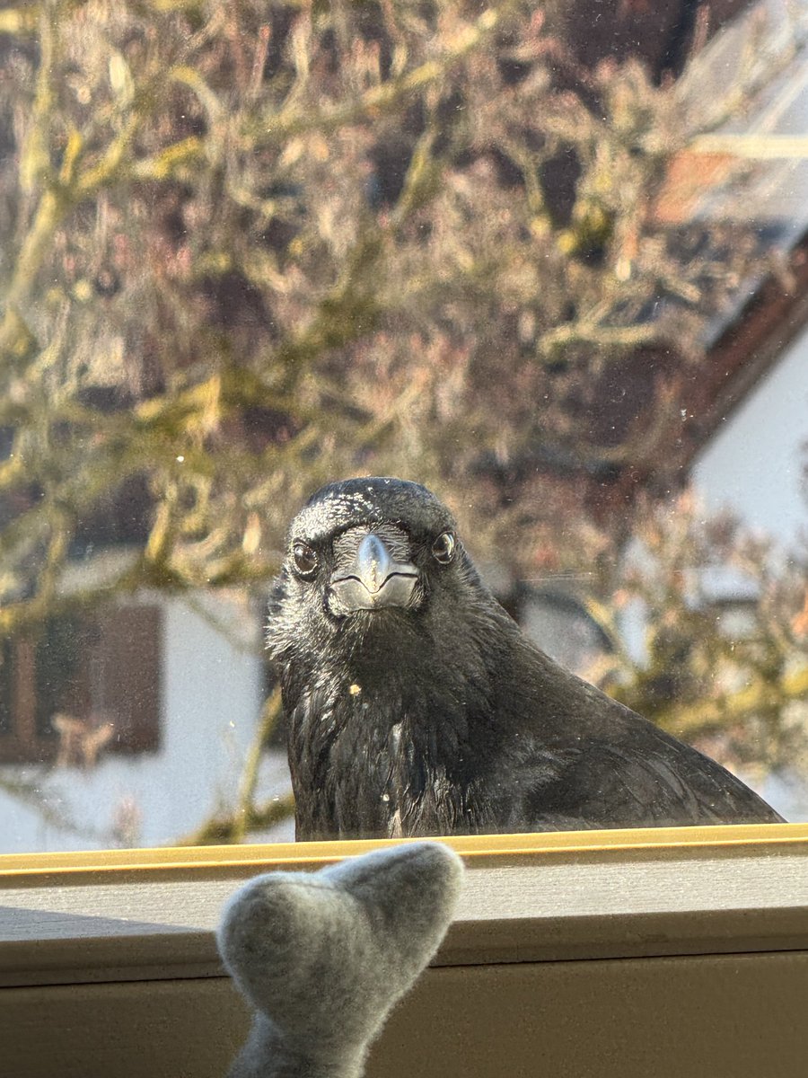 The future Mrs.MacFarlane 🇪🇺 tweet media