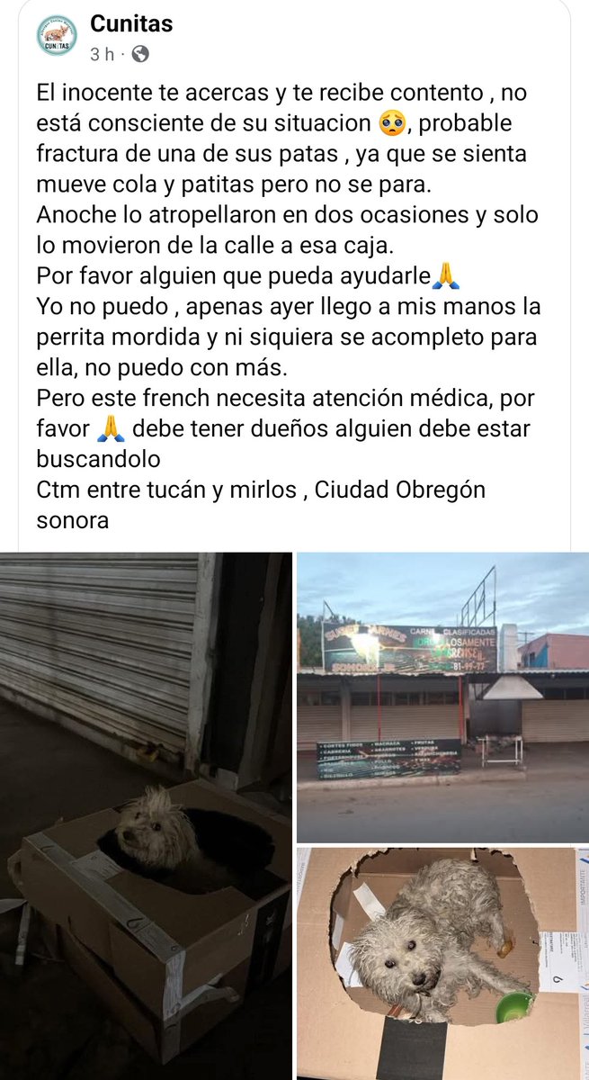 Urge apoyo para este inocente <a href="/gobiernosonora/">Gobierno del Estado de Sonora</a> CCP. <a href="/AlfonsoDurazo/">Alfonso Durazo</a>