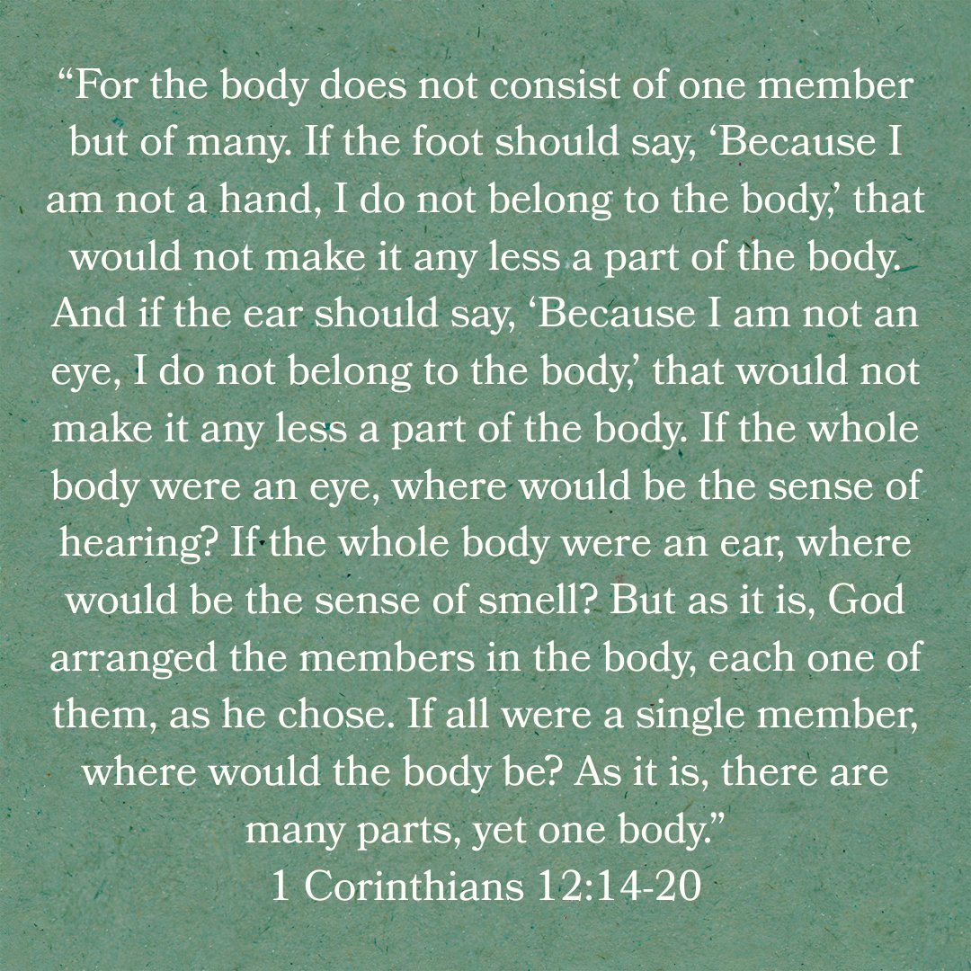 FBCMustang tweet media