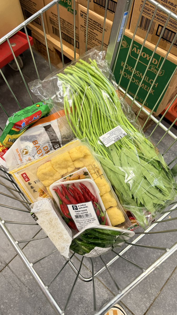 Supermarket asia di kota gue hampir selalu ada kangkung. Besok bisa numis kangkung.