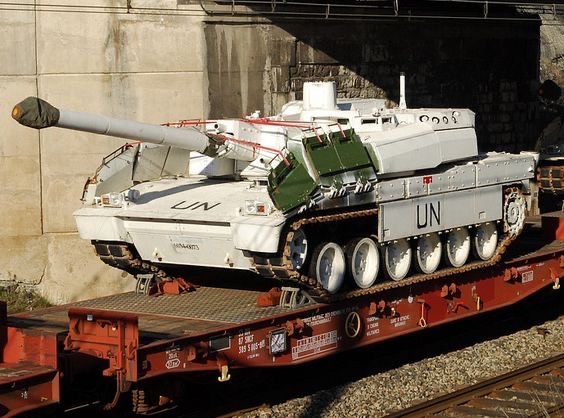 Langley 🐬🇦🇶 tweet media