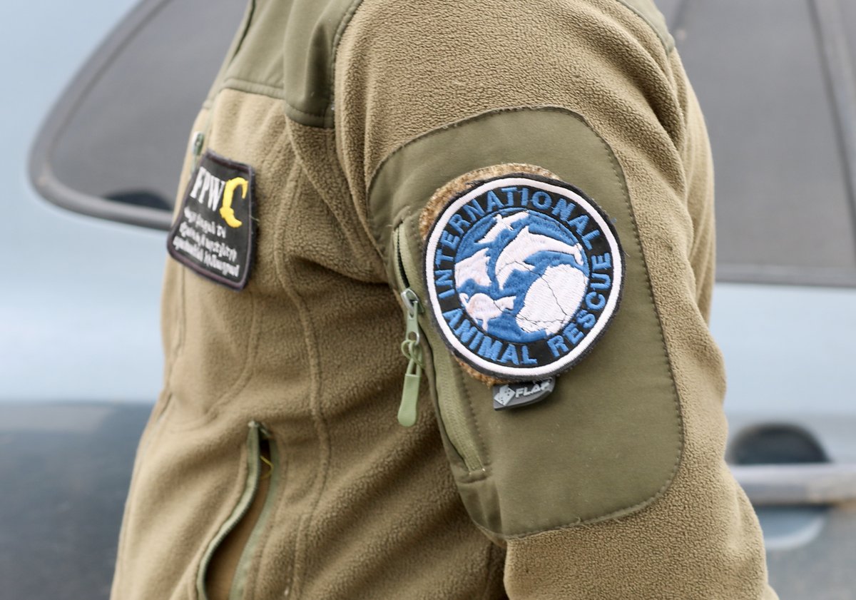 Alexandra Cole tweet media