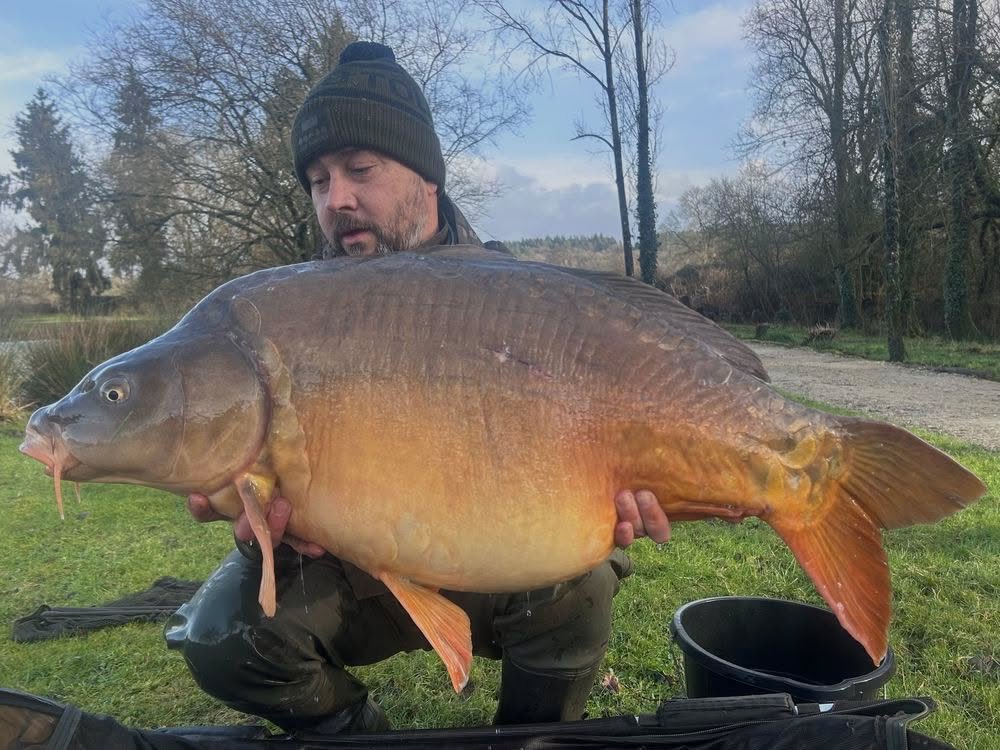 Mainline Baits Official tweet media