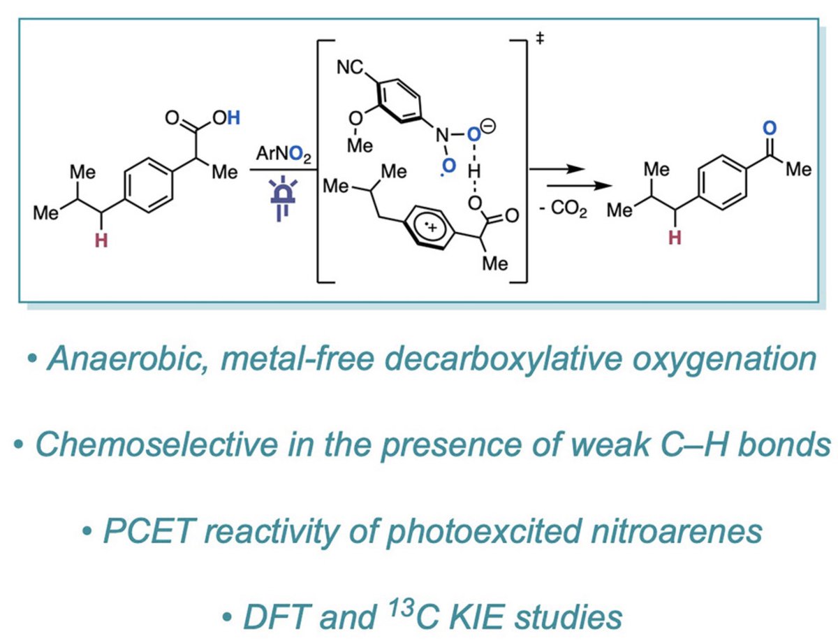 NYU Chemistry tweet media