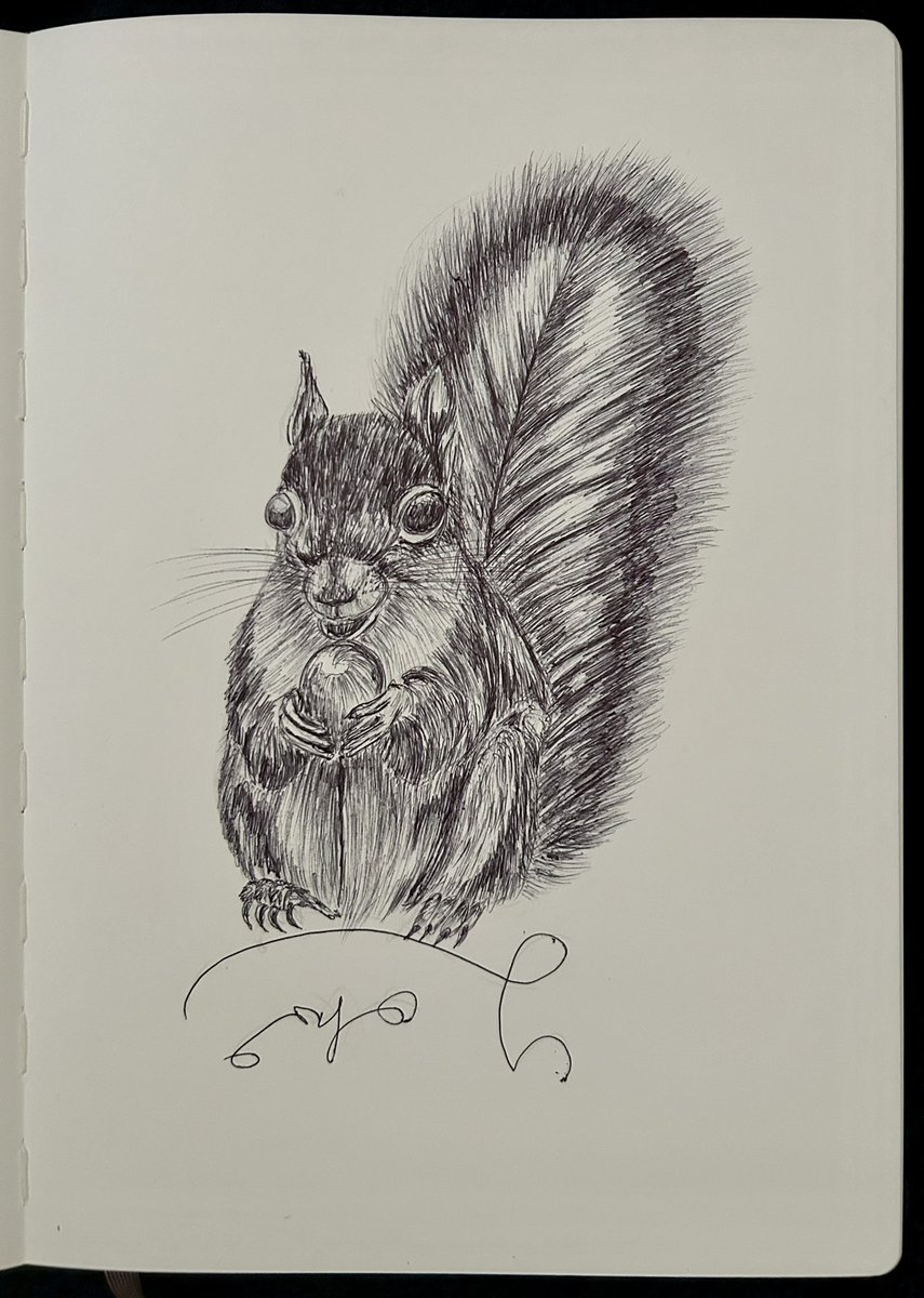 Ballpen Illustrator tweet media