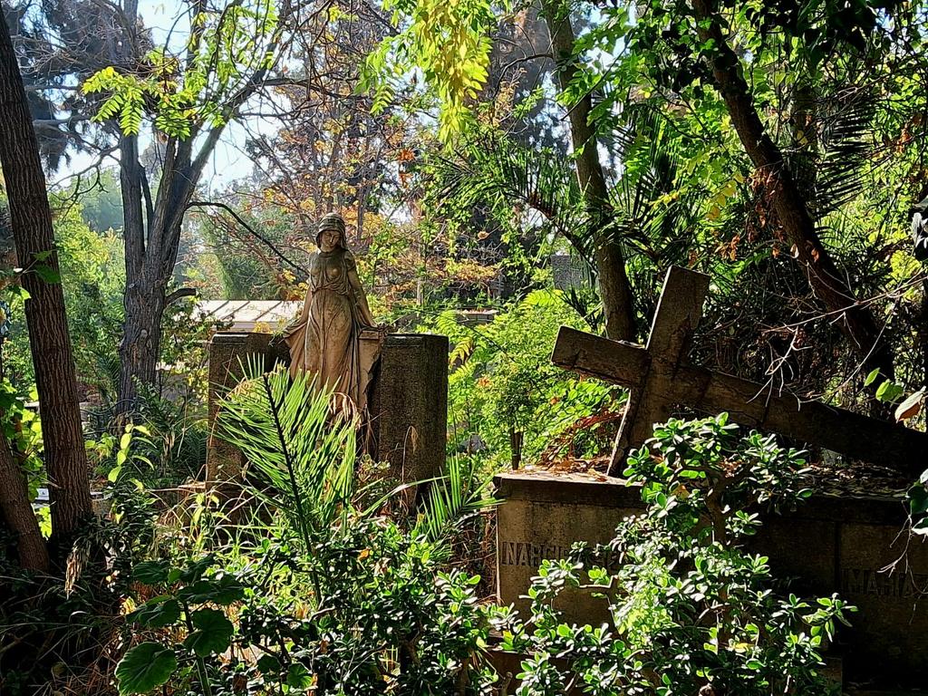 CCHYPF's tweet photo. CEMENTERIO GENERAL DE SANTIAGO, PARTE I 🪦

Estos bellos registros de 2025 corresponden a Sebastián Saez 📸, muchas gracias por compartir. ✨️

#CementeriosChilenosYPatrimonioFunerario #CementeriosChilenos #NecrópolisChilenas #CementerioGeneral #CementerioGeneralDeSantiago https://t.co/VidBKUGE6M