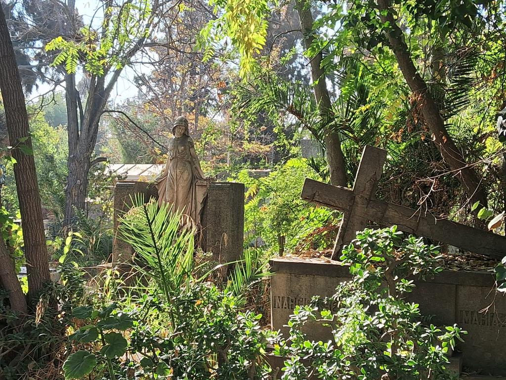 CCHYPF's tweet photo. CEMENTERIO GENERAL DE SANTIAGO, PARTE I 🪦

Estos bellos registros de 2025 corresponden a Sebastián Saez 📸, muchas gracias por compartir. ✨️

#CementeriosChilenosYPatrimonioFunerario #CementeriosChilenos #NecrópolisChilenas #CementerioGeneral #CementerioGeneralDeSantiago https://t.co/VidBKUGE6M