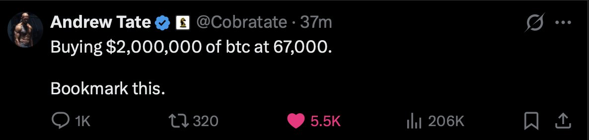 Prime Tate tweet media