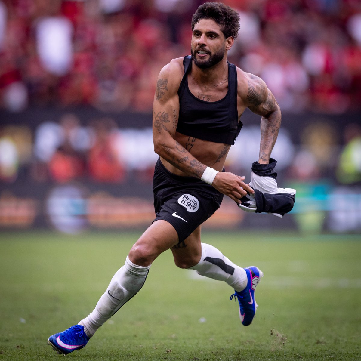 SCCP News tweet media