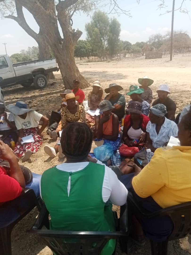 GlobalAgbizSoln's tweet photo. When women thrive, communities prosper 💪🌱 During #InternationalDevelopmentWeek, we celebrate our work with ⁦@GAC_Corporate⁩ Affairs Canada to empower women across Zimbabwe’s cassava value chains. #ProsperityThroughPartnership https://t.co/wRxj4QJOXR