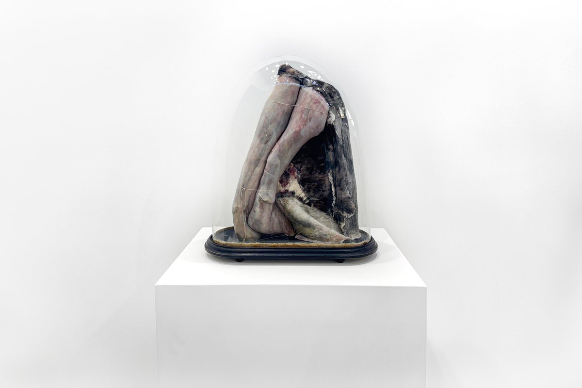 GALLERIA CONTINUA tweet media