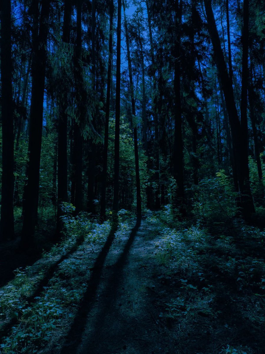 진짜잔다
내일밤도 빨리왓으면 💕🧛‍♀️