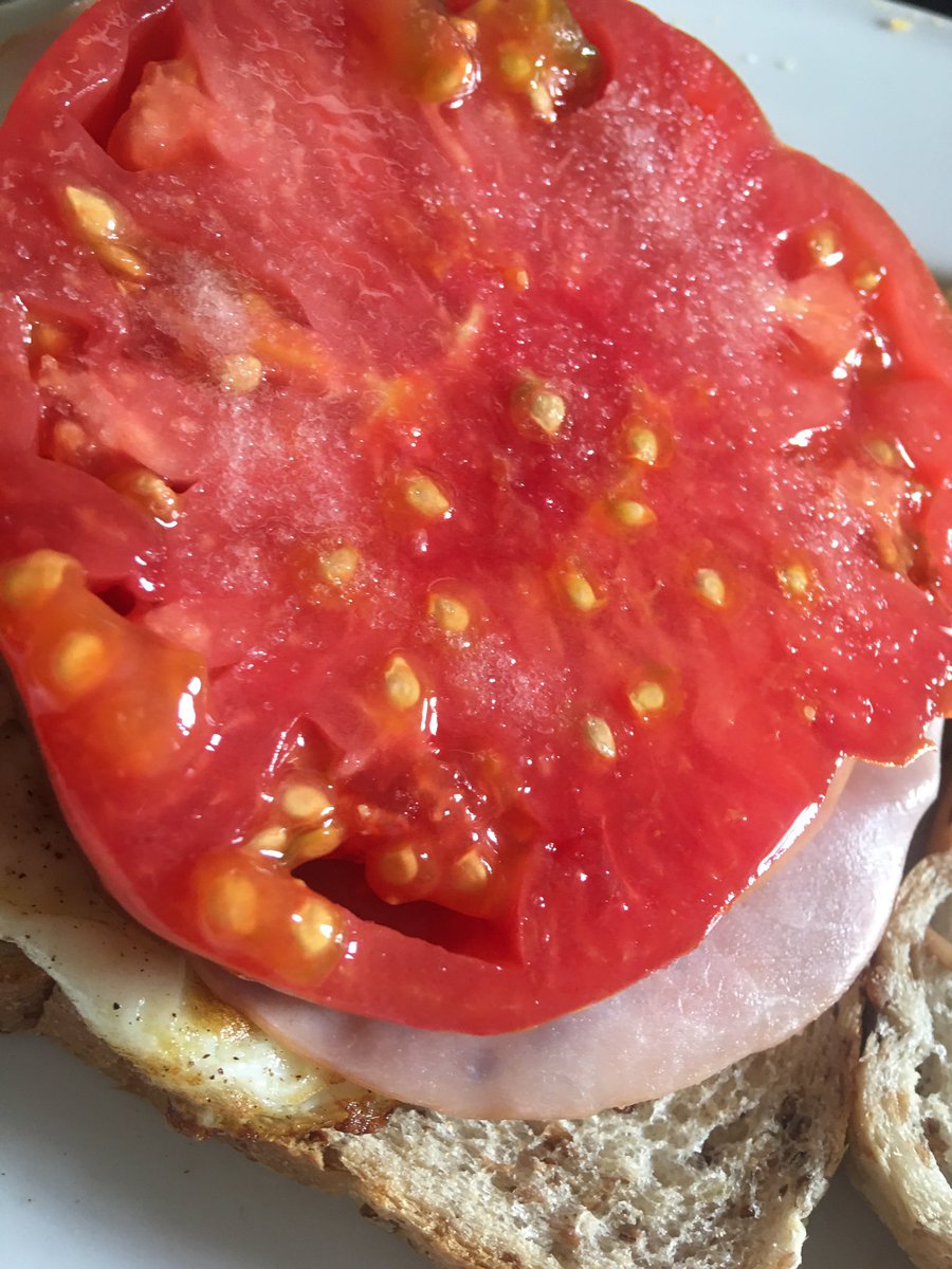 ColinMathura-Jeffree tweet media