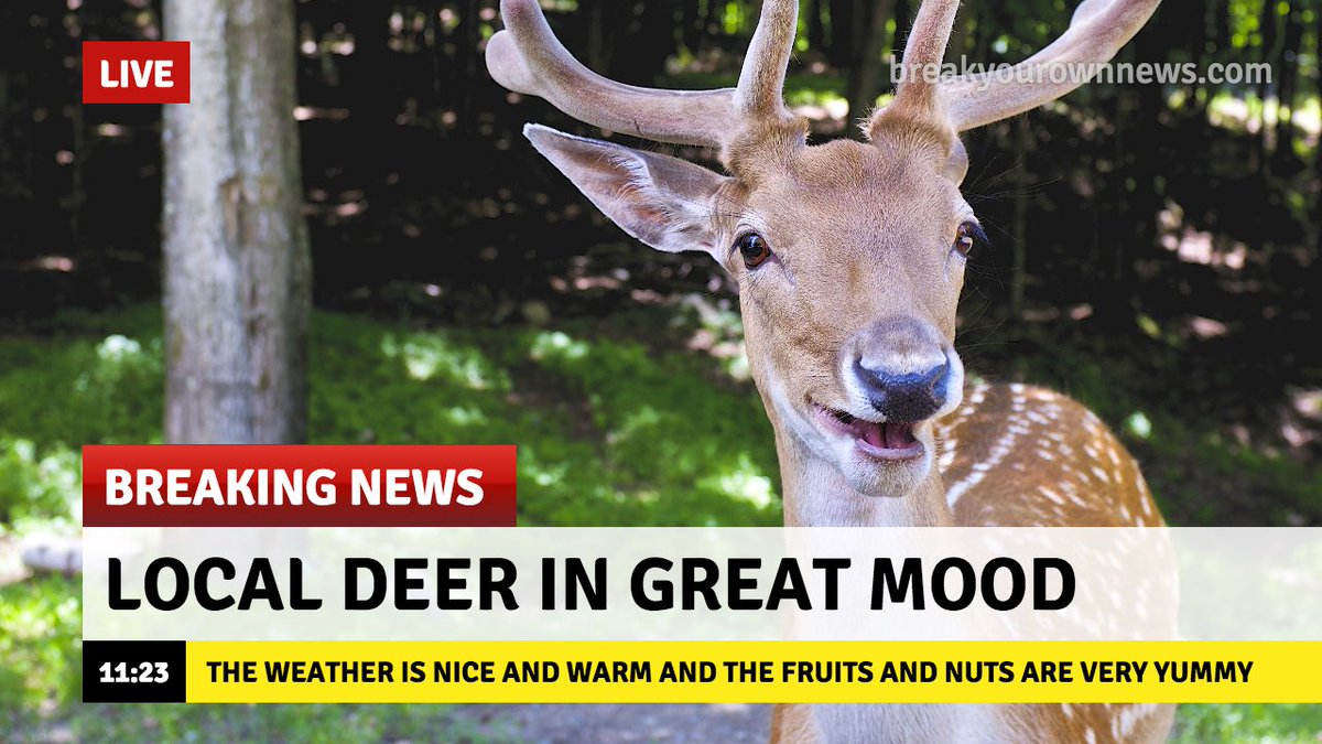 BucksLead's tweet photo. https://t.co/8XZauydTx0