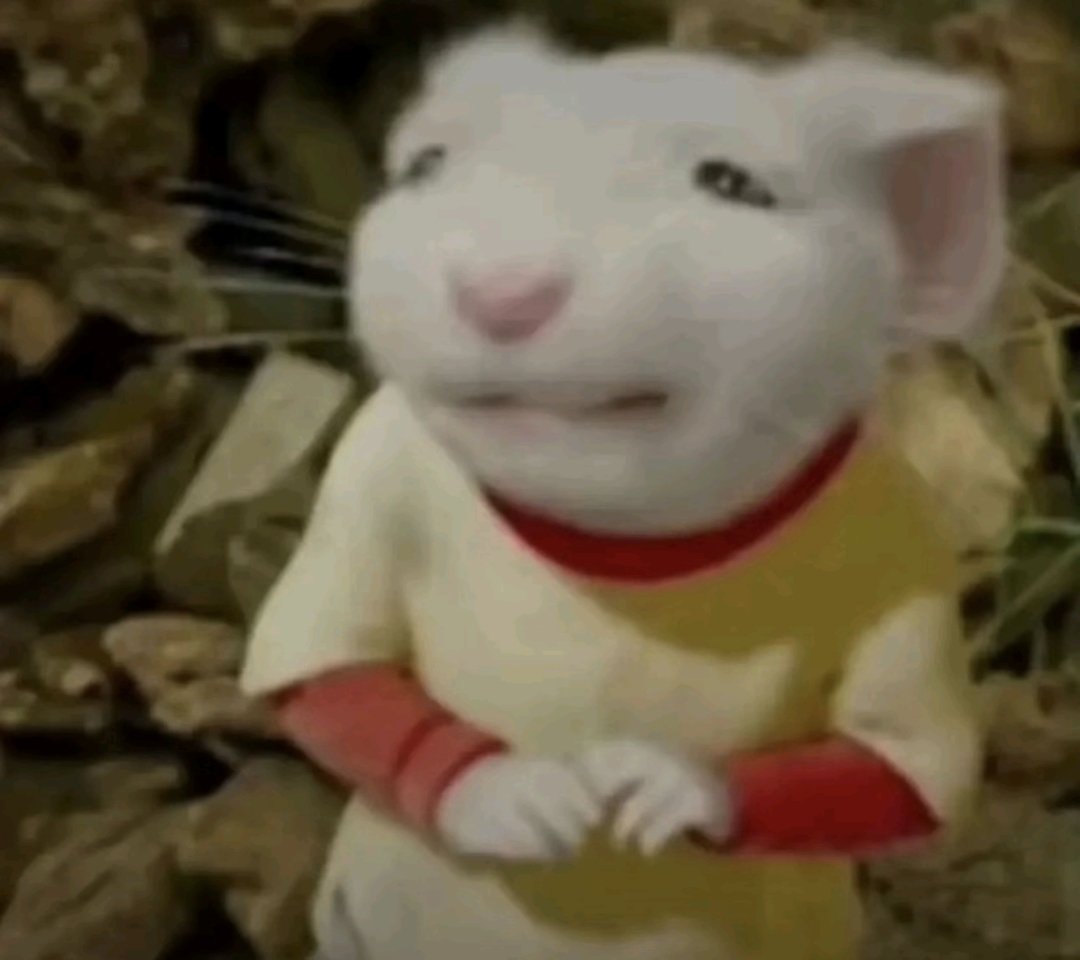 carmen aus ★ tweet media