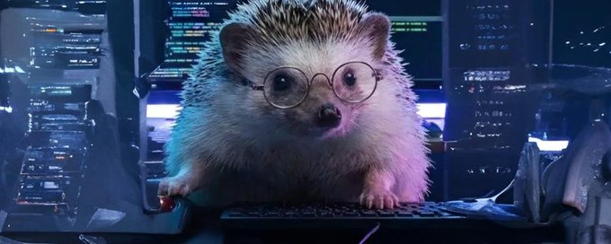 SmartPumpa's tweet photo. “Memes will continue!” - White House.

$HEDGE your funds in a SAFU place...

FFYLoYzPnD1CAVa8UeP9BeXhPPAykRkYiFLqVpxKbonk

https://t.co/tQLwhQjmPj https://t.co/GuNmZGi41V