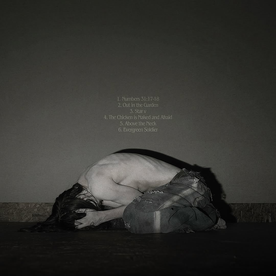 SOFIA ISELLA tweet media