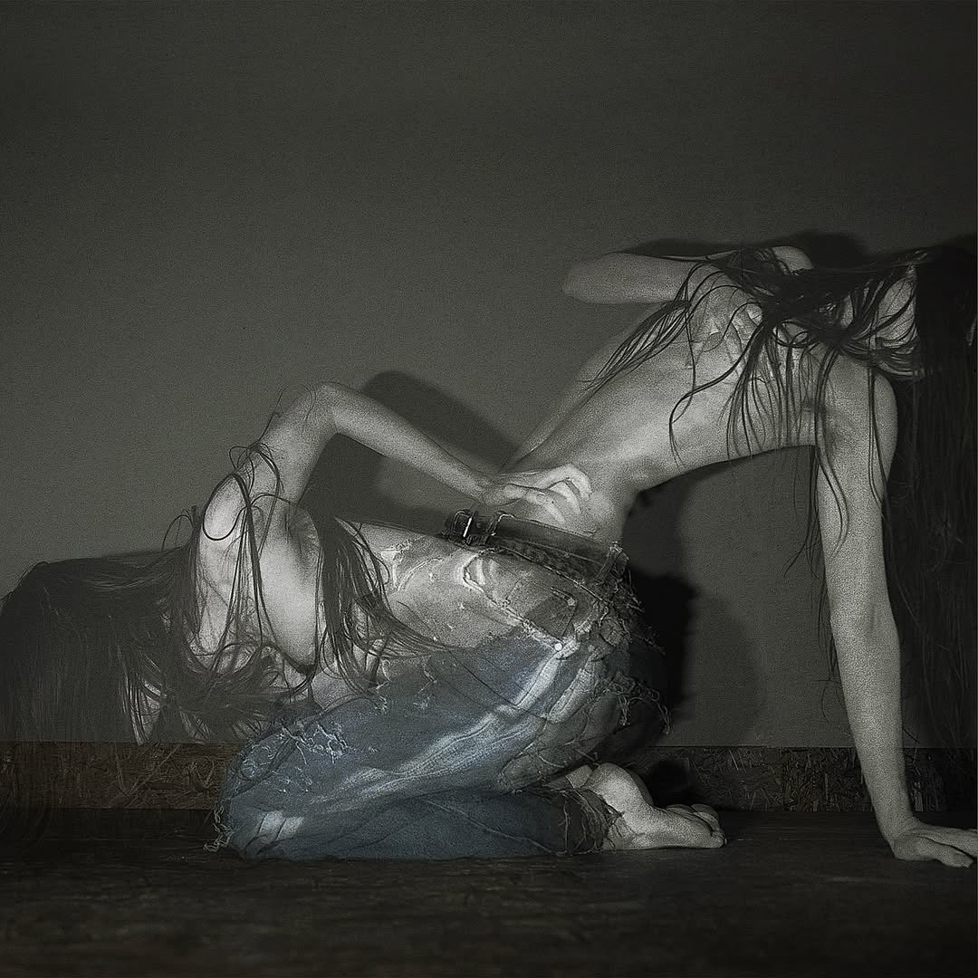 SOFIA ISELLA tweet media