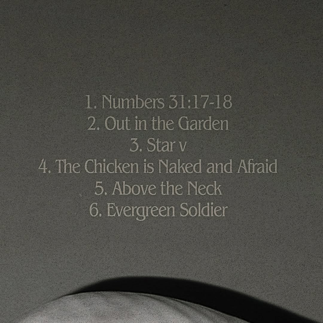 SOFIA ISELLA tweet media