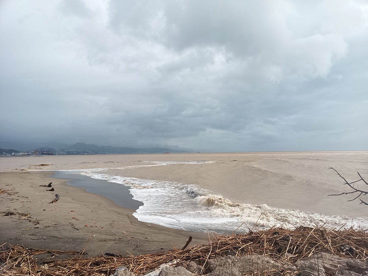 ISRAEL DE  RUS tweet media