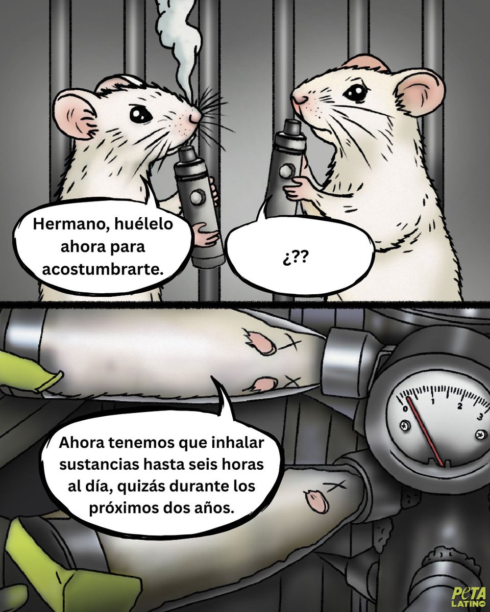 Imagínate cómo se sienten.
Las ratas son obligadas a inhalar sustancias químicas en crueles pruebas de laboratorio. Sufren y se asfixian, todo por experimentos que no se pueden aplicar a los humanos.