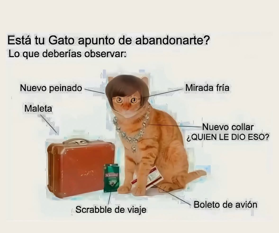 norelenita's tweet image. Información Importante.