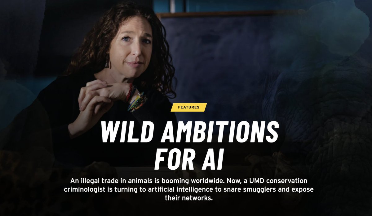 umdgeography's tweet photo. 😎 Did you see Professor Meredith Gore's profile in the latest @UofMaryland's TERP magazine?

Read how she combines field research and AI to track wildlife crime and uncover the people and networks behind it 🐢🗺️
https://t.co/C1TfCViAp6 https://t.co/axOzXnaMkx