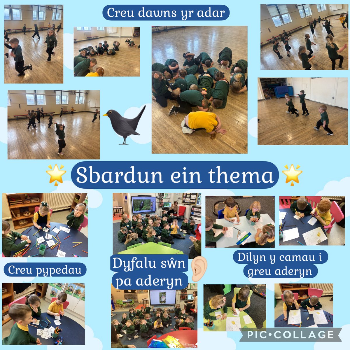 Dosbarth Meithrin/Derbyn tweet media