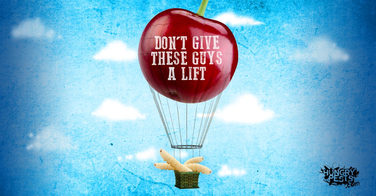 HungryPests tweet media