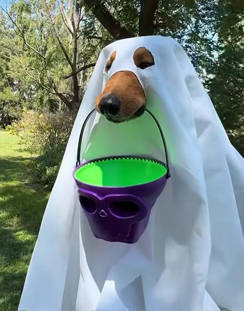 $preguntale has an outfit for every occasion