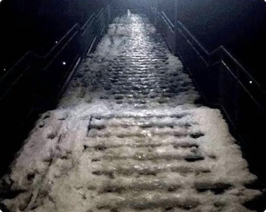 Шипірес tweet media