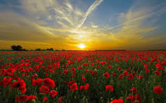 Life cycle tweet media