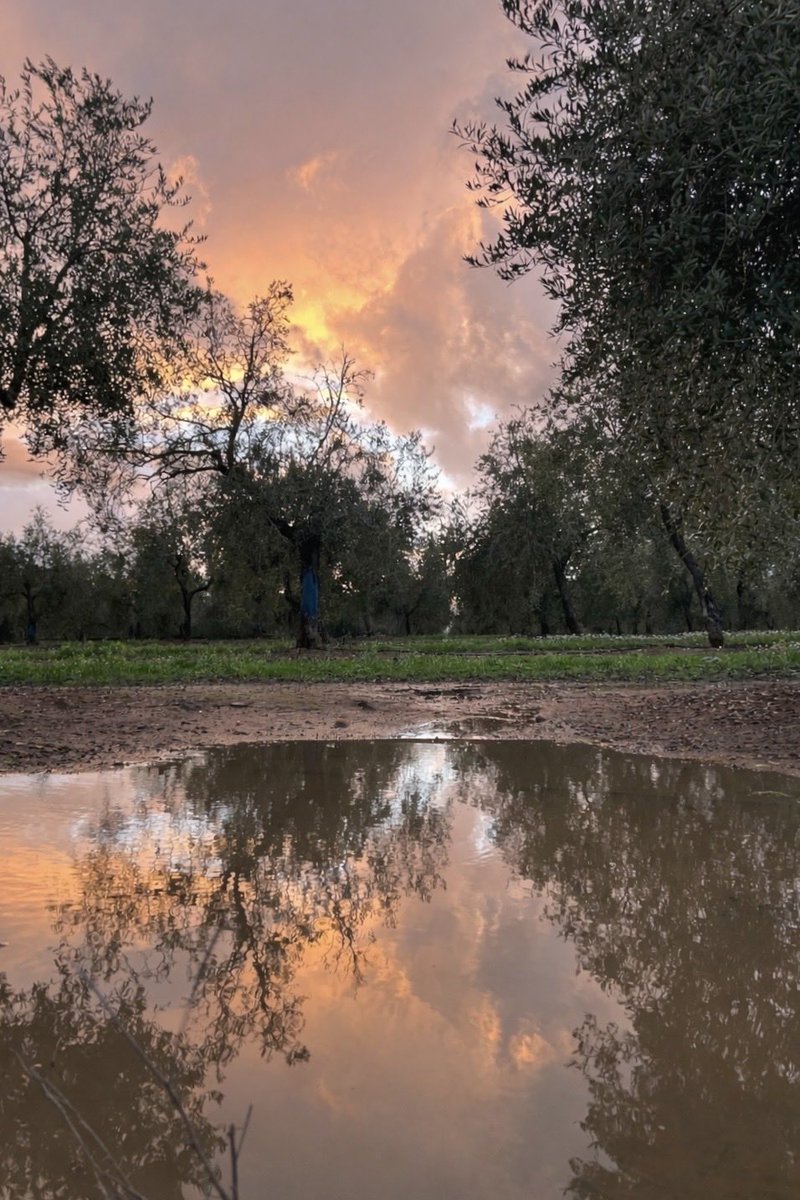 Así está el campo de nuestra Ciudad. 

 📸 

<a href="/apacheminero/">⚒APACHE MINERO⚒ ۞</a> <a href="/RadioGachi/">Radio Gachi 💛💚🤍❤️💙</a>