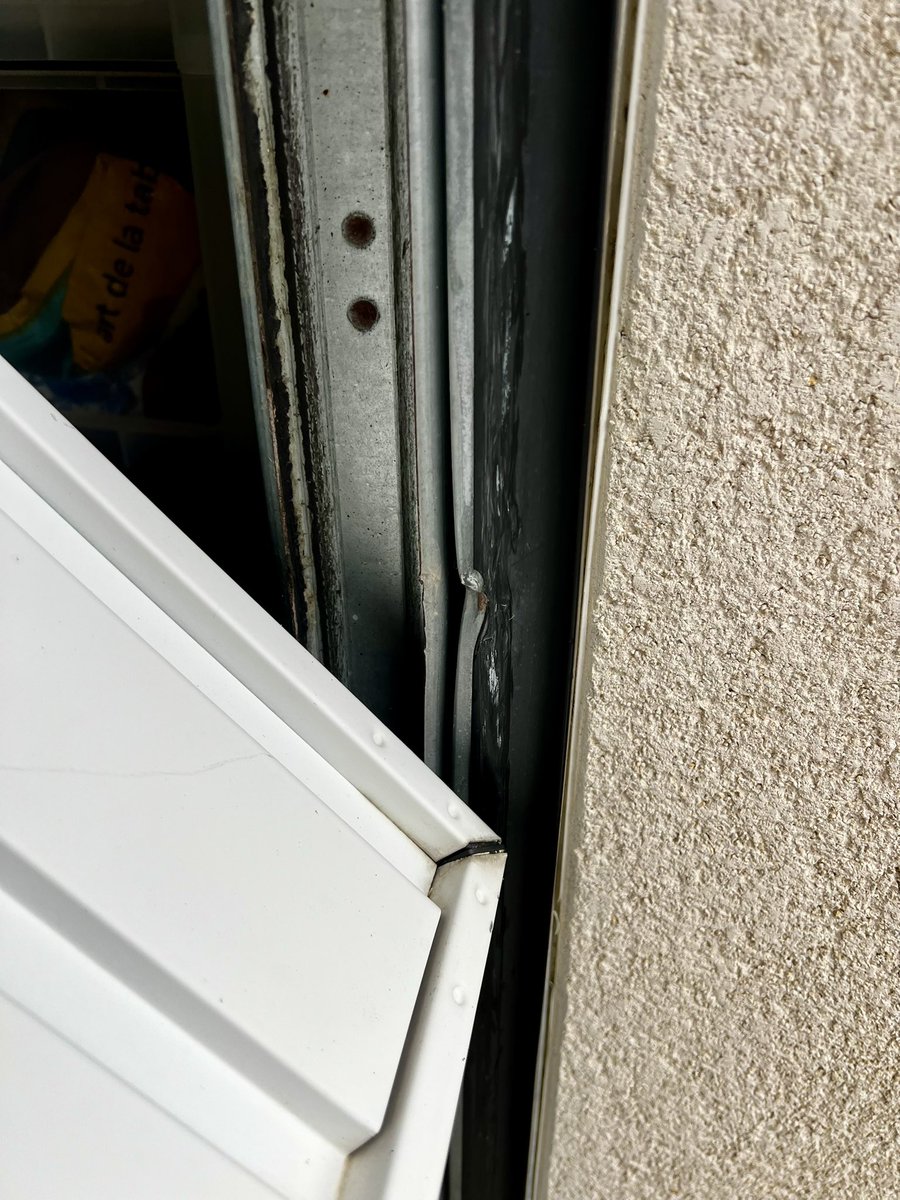 Marie-Charlotte 🕊️ tweet media