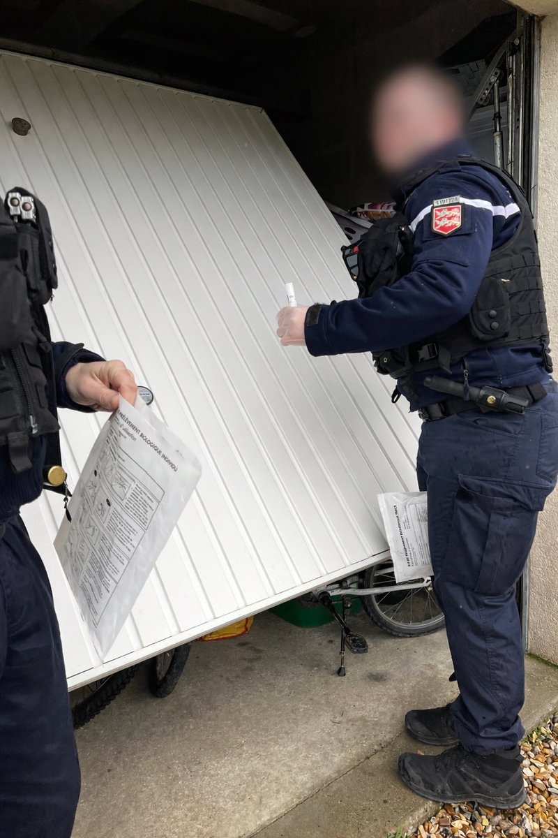 Marie-Charlotte 🕊️ tweet media