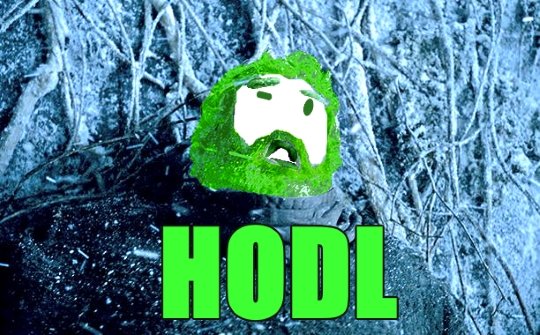 Bag Holder tweet media