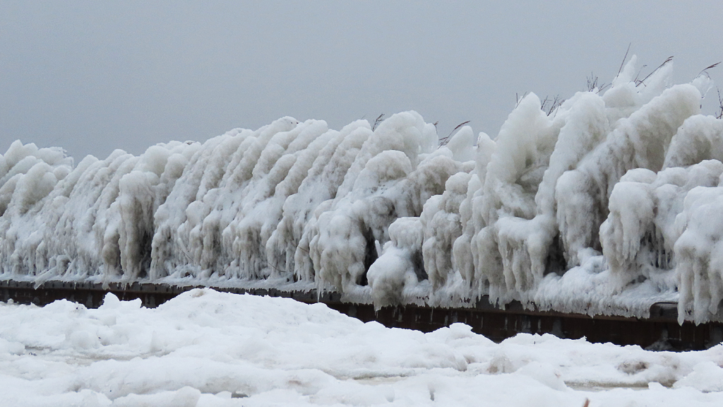 ➡️ Robert de Vries tweet media