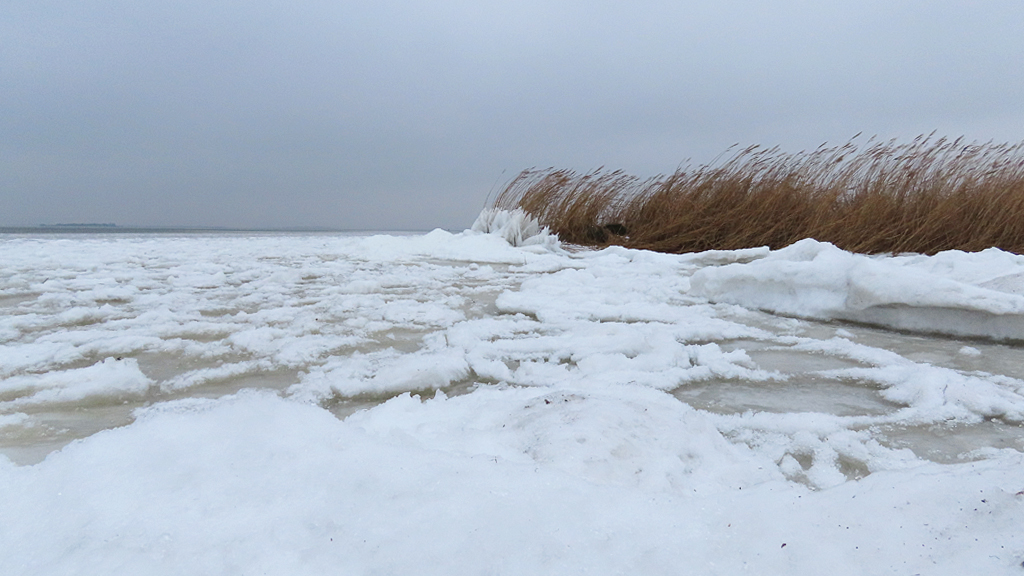 ➡️ Robert de Vries tweet media