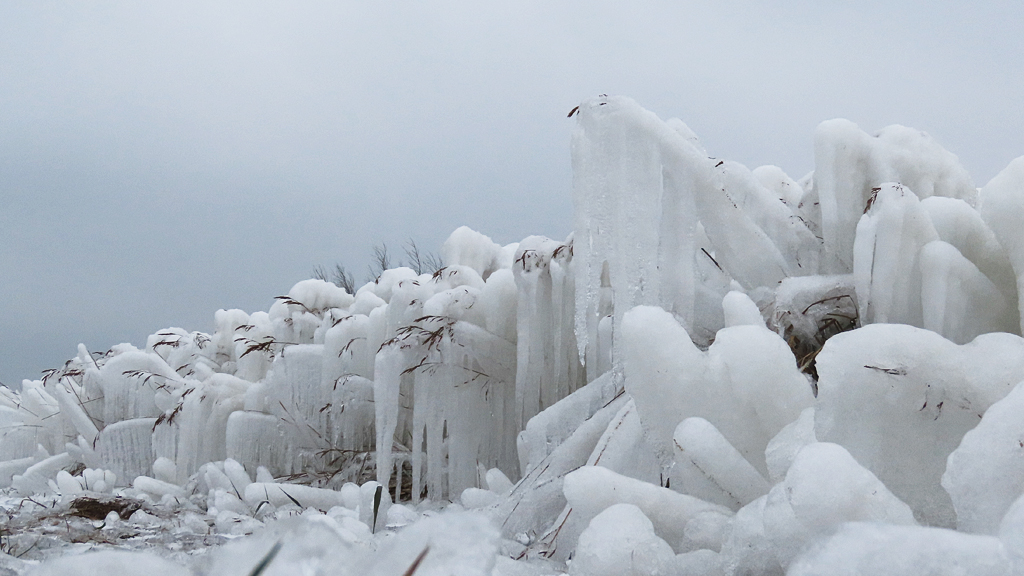 ➡️ Robert de Vries tweet media