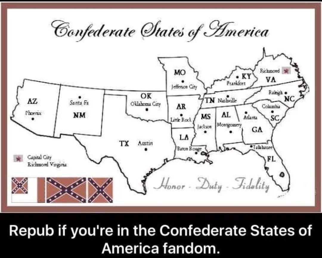 Southern Chestnut 🇺🇸 tweet media