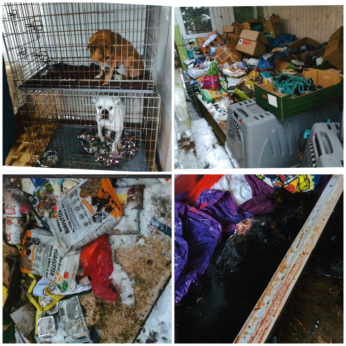 jacekzarzecki tweet media